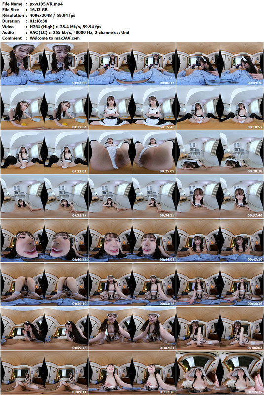 pxvr195