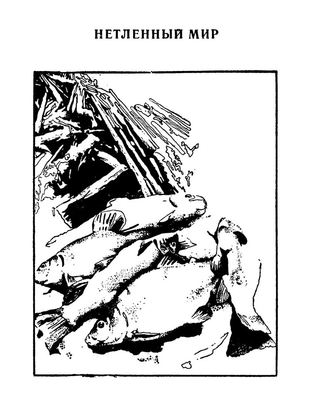 p0022