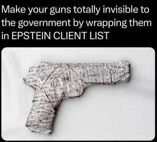 make-guns-invisible-to-government-hiding-epstein-client-list.jpg