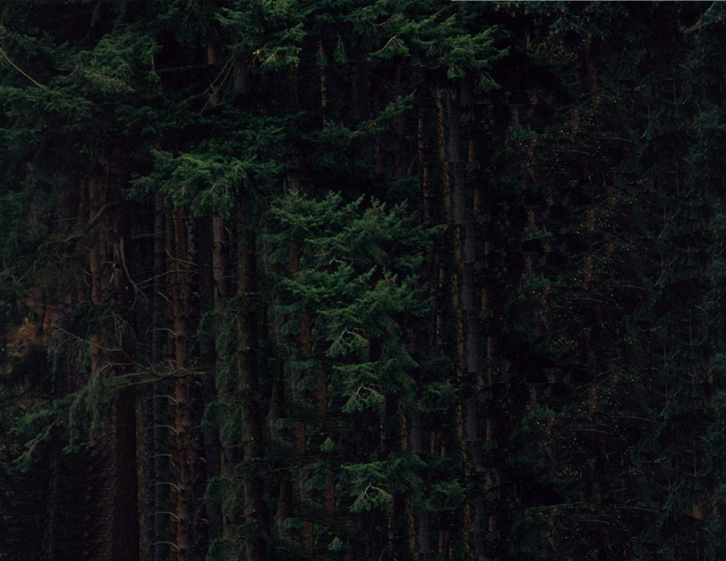 Hagrid hut Background I