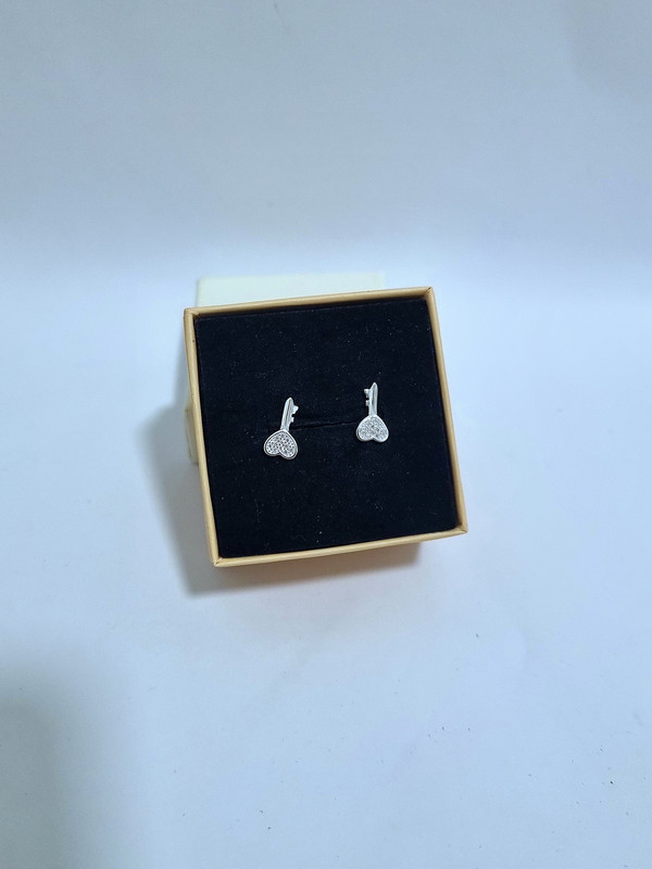 Aretes de llave