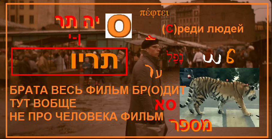 https://i.postimg.cc/xCtJW1TN/969.png