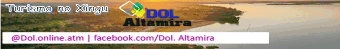 Seo Services