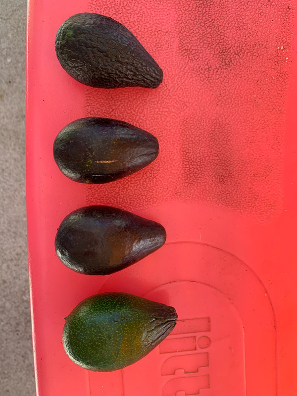 15087DC1-28E0-4C55-98D8-281C5C77DB4C