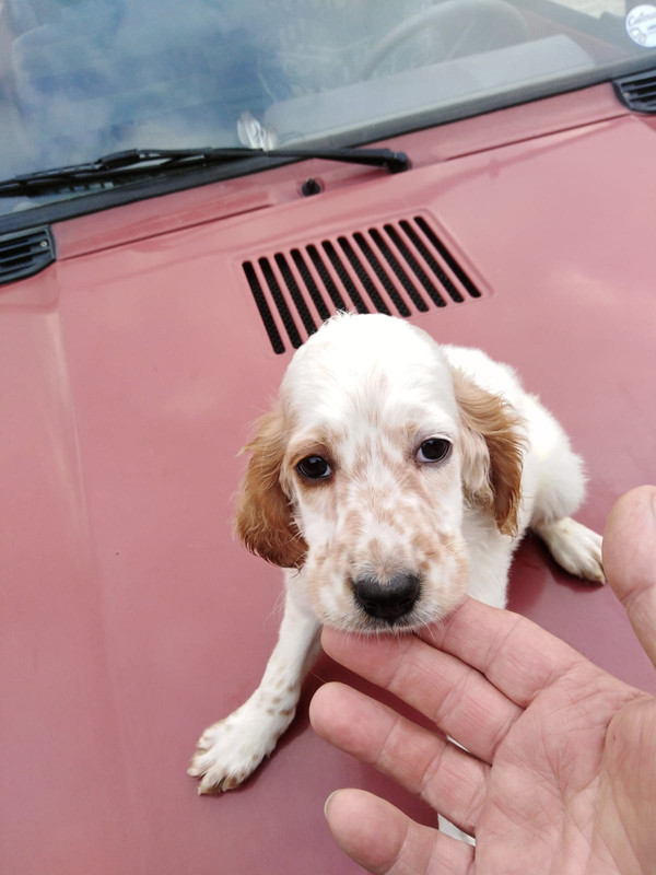 A376AB9C-2491-40E1-86FA-309A320442C3