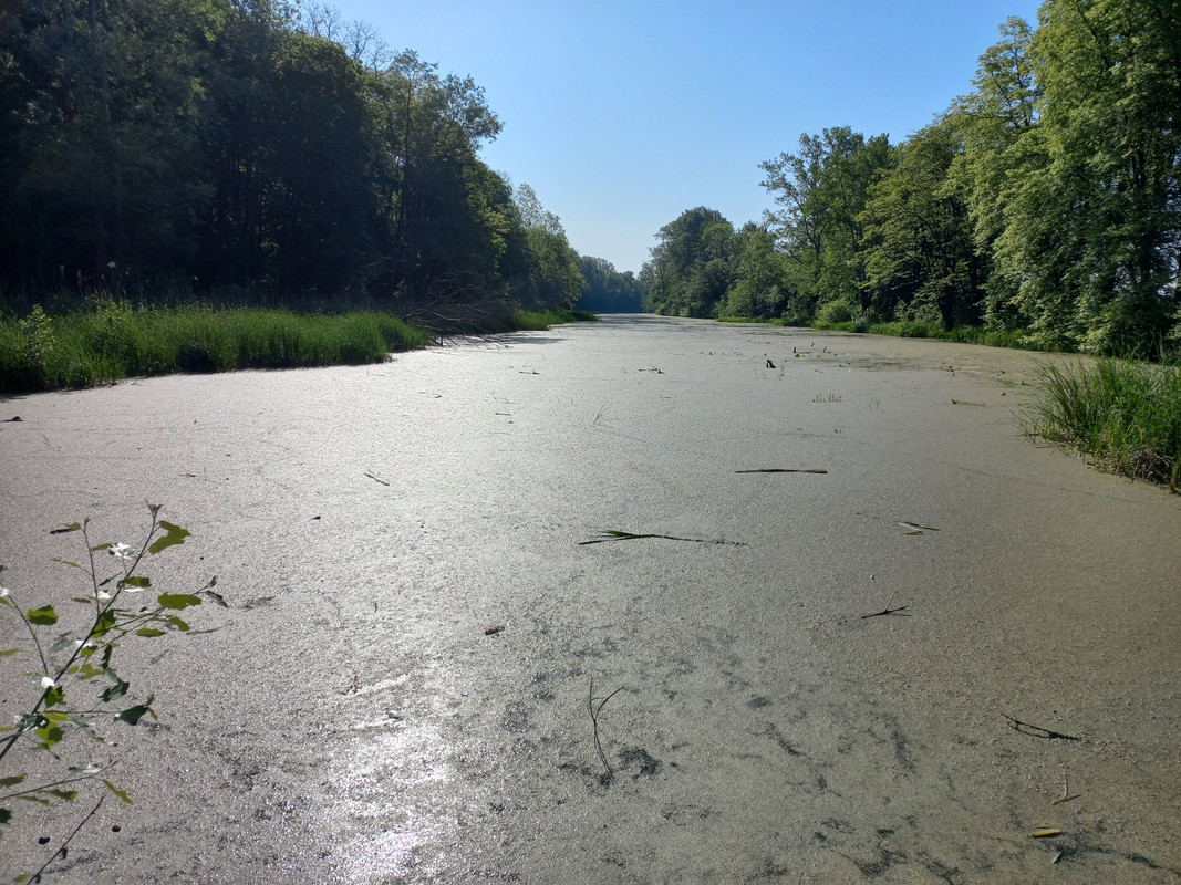 [Obrazek: 20230523-080601.jpg]