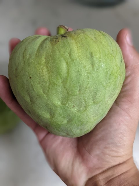 PXL_20221010_205958394.PORTRAIT