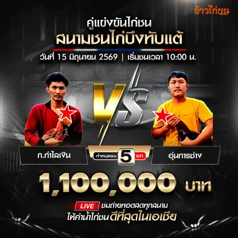 ก.กำไลเงิน vs อุ่นการช่าง สนามชนไก่บึงทับแต้ 15 มิถุนายน 2026