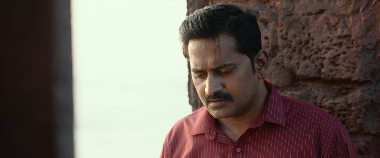 Thandel 2025 WebRip [Hindi + Tamil + Telugu + Malayalam + Kannada] 480p, 720p, 1080p ESub Screenshot