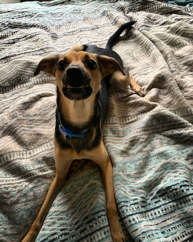 DFA929F4-E134-4553-8197-99C6C8C3253F