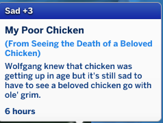 sassy-is-gone-poor-chicken.png