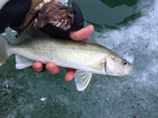 6FFDA076-8CFF-4973-B064-7C0964D09CF4