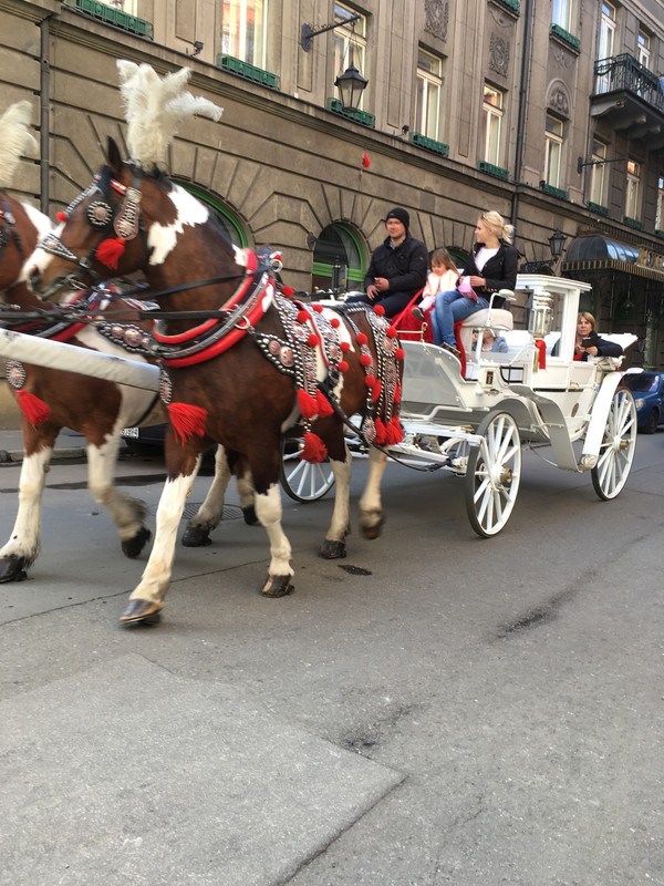 3101C38A-CCD6-43EF-842A-8584BB75082F