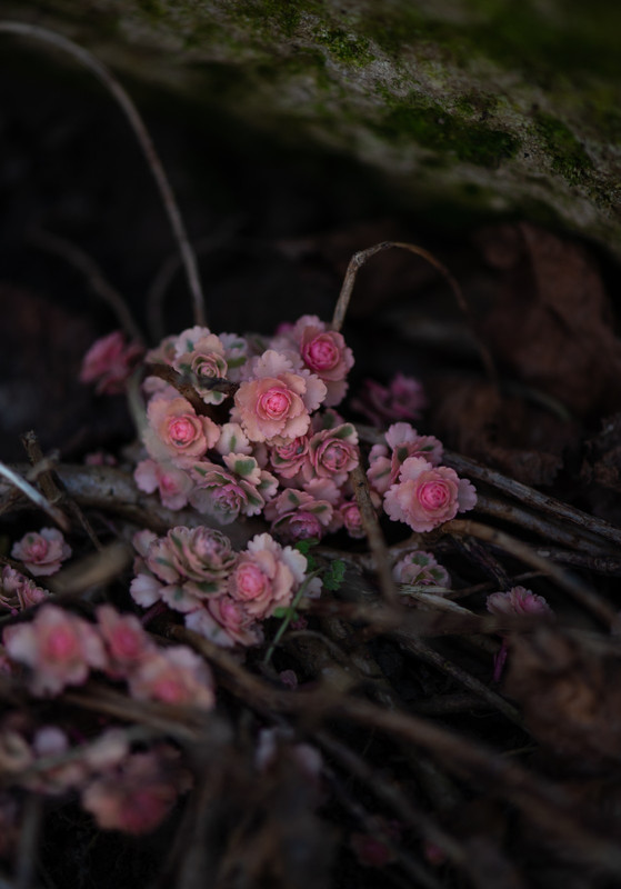 IMG-c4b6c01239f7babaf4312be7b894d5ec-V