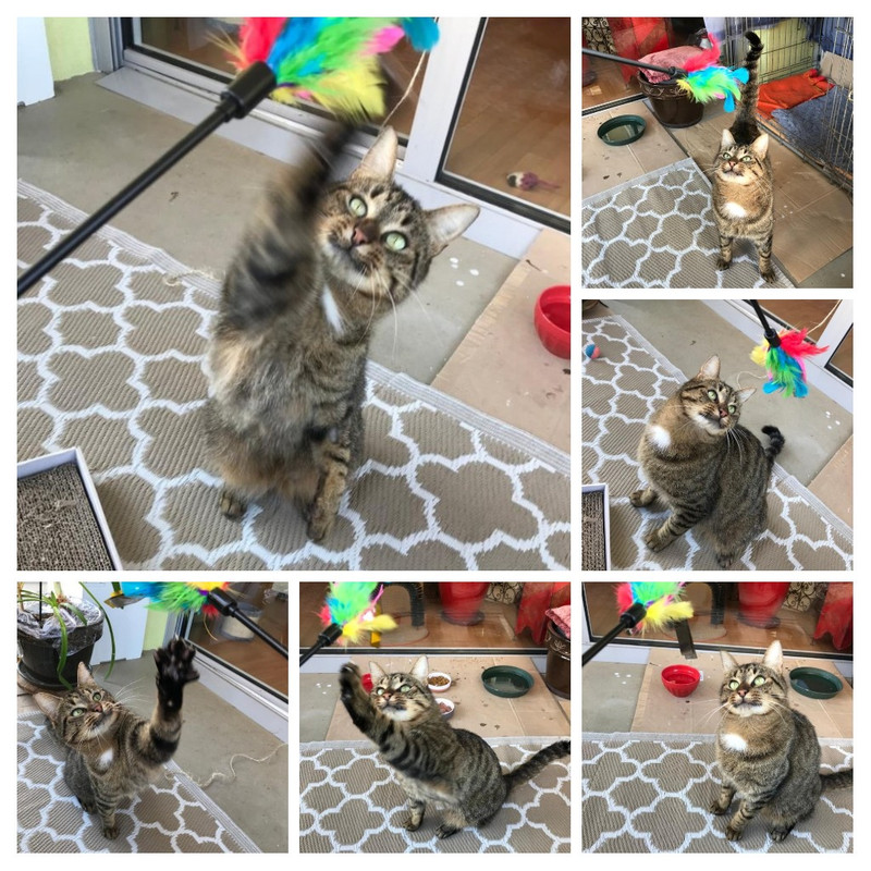 20220303_225343-COLLAGE