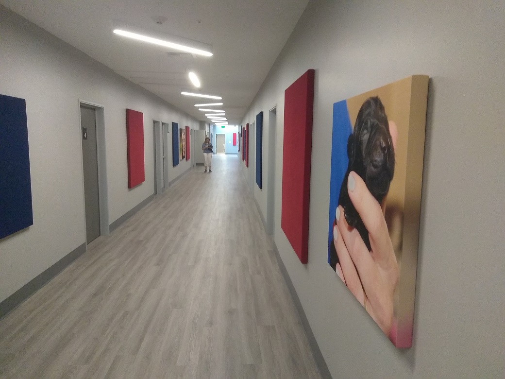 Image Source: Personal Photo