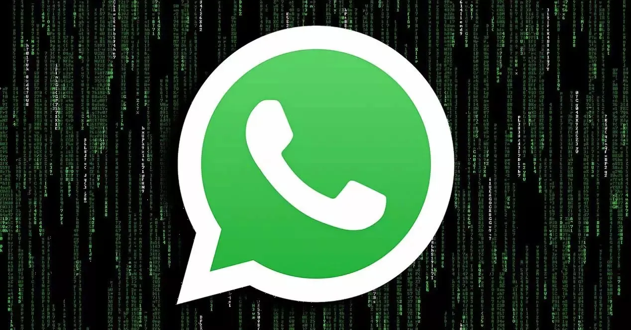 WhatsApp tendrá su propio canal oficial: para esto servirá 