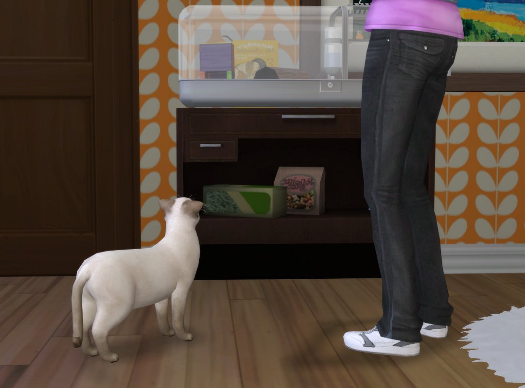 ksnip-20250810-192754