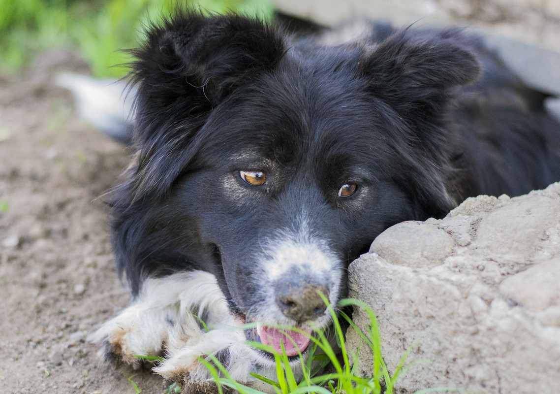 Фортуна_04_19_м16