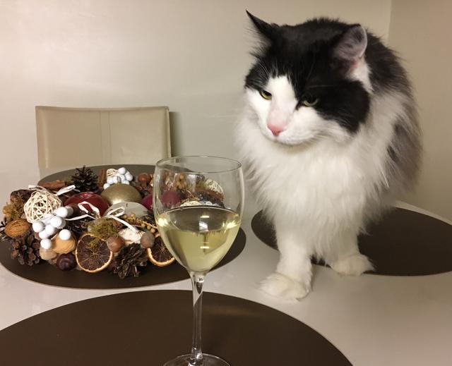 1-A015-DB0-720-E-4-B86-B35-F-2-D0258-A73