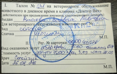 ������� "������� ����"