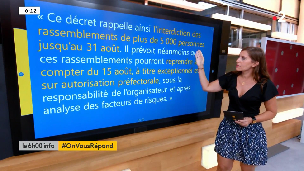 Lise Vogel 110820.mp4_snapshot_00.29_[2020.08.11_17.29.27]