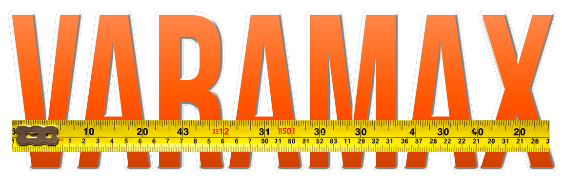 Logo Varamax