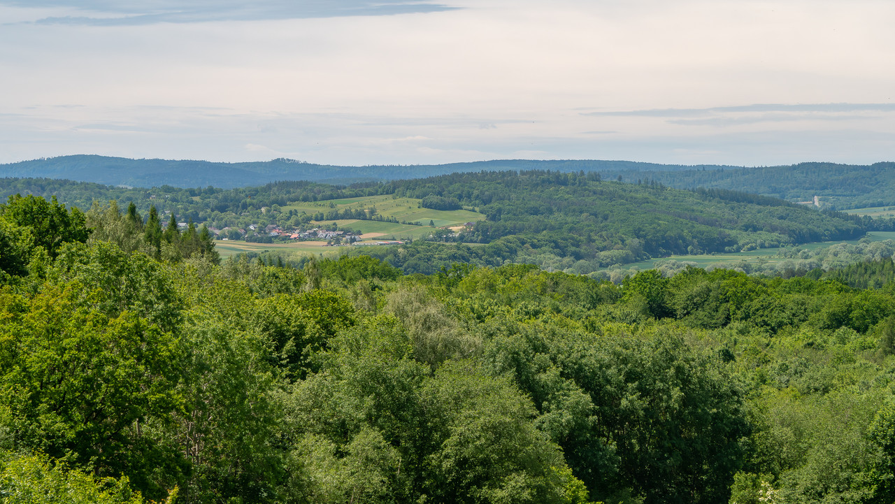 IMG-5229-Poprawione-Szum.jpg