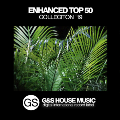 VA - Enhanced Top 50 Collection 19 (2019)