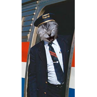IMG-3026.png