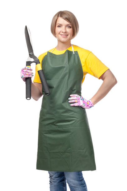 FAQS about Tree Services Contractors Services in Anniston, AL