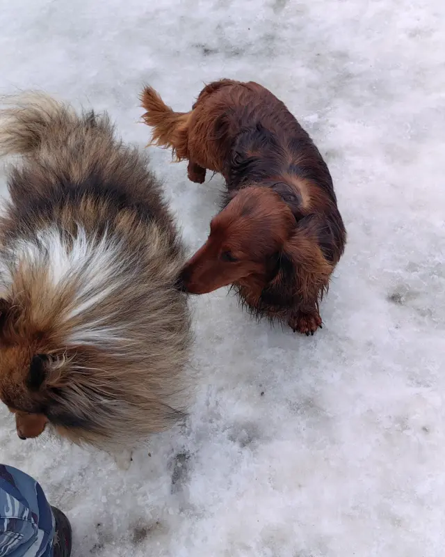 IMG_20230312_170512_707