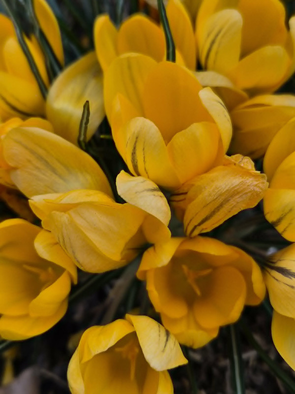 1570e0ff-14aa-4f40-8b82-a8980789b806