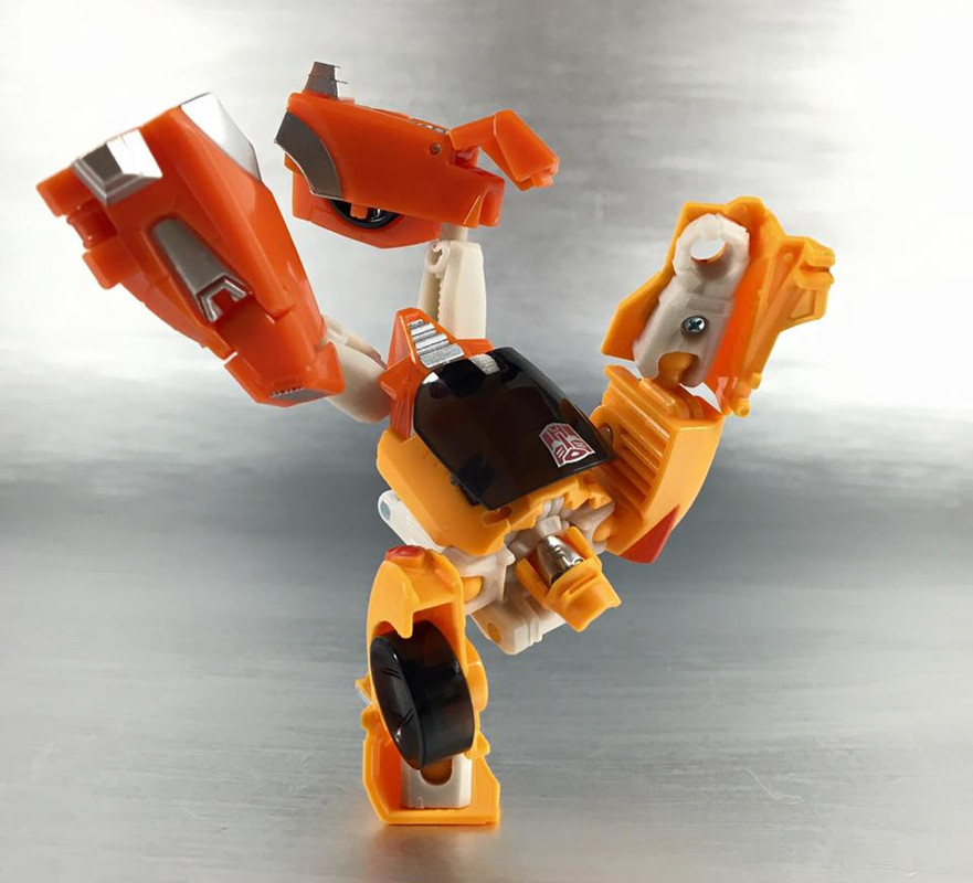 13509019_876027809191292_4926023049593866739_n