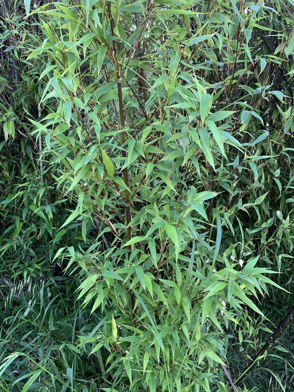 496CD176-095D-4B01-8117-433DA202A8E9