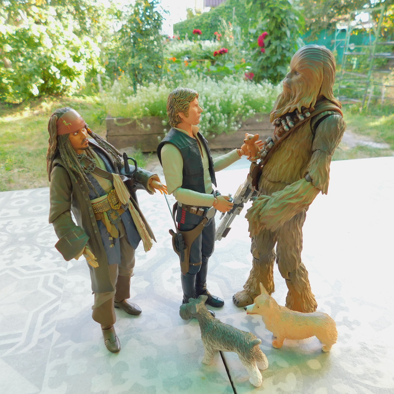 Дачно-Харлинский июнь-июль 2024 187