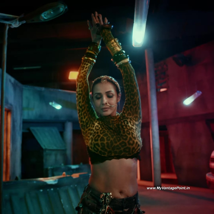 36-Malaika-Arora-Hot-in-Chillgum-Song-by-Yo-Yo-Honey-Singh-My-Vantage-Point