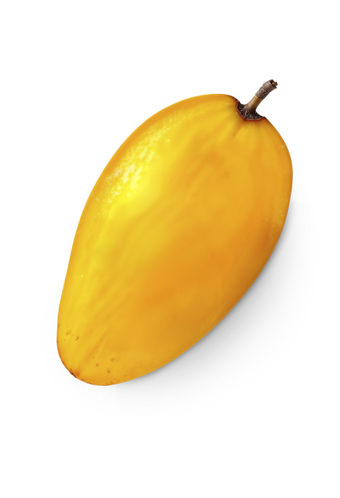 11436562