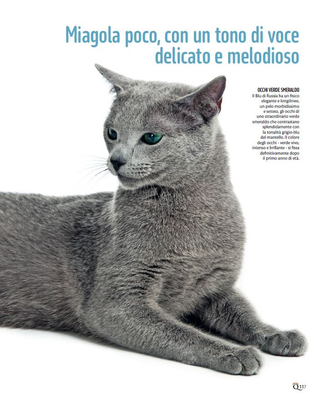 QuattroZampe Dic 2024-Gen 2025 (12)