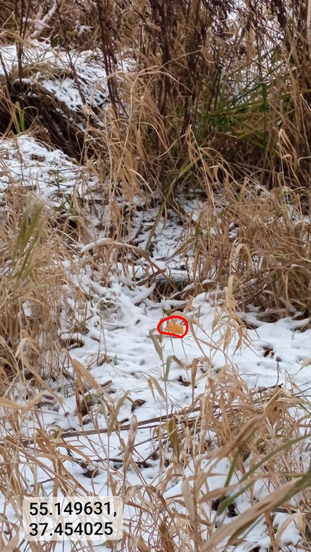 IMG 20251214 153844 753