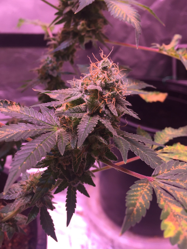 6B514DEC-B4AD-4194-8324-96FC475BBB12