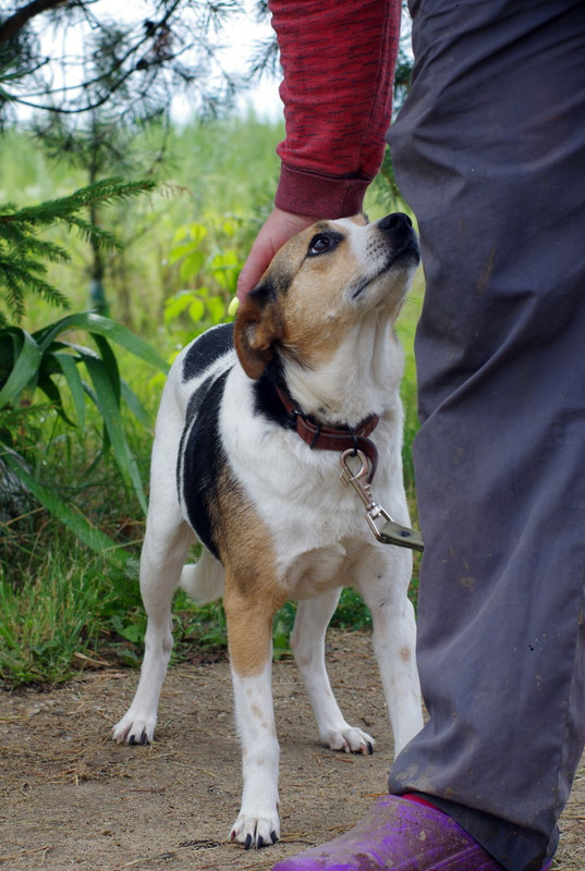 изображение_viber_2022-08-03_17-07-13-543