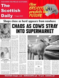 Newspaper
