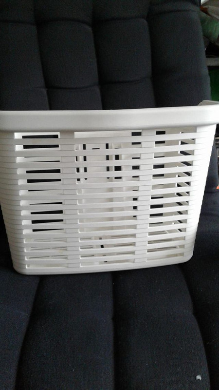 14284995_1452810544736020_884941467_o