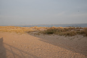 DSC02173