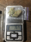 5A6B3557-25F2-4F16-9032-1DDAF9B631A8