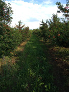 IMG_20210614_173740538