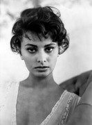 sophia-loren-681
