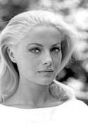 Virna-Lisi-mf55