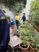 bb10a462-a272-4d8d-83b2-6fdfef50f283